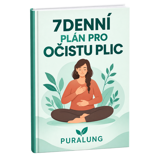 7denní průvodce ranní rutinou